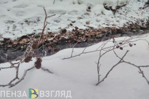 Какую погоду пензенцам ждать в выходные?