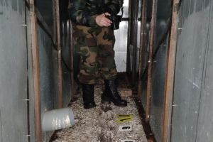 Пензенская прокуратура займется проверкой по факту трагедии в Чемодановке