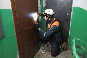 Пензенские спасатели помогли двухлетнему малышу
