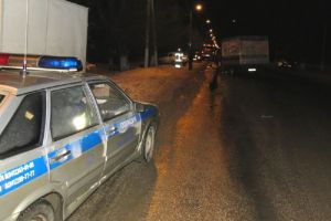Полиция разыскивает очевидцев смертельного ДТП под Пензой. Фото