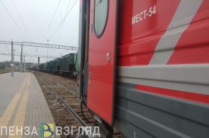 Мужчина упал в ехавшем в Пензу поезде и повредил плечо