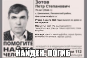 Пропавшего в Пензенской области пенсионера нашли мертвым