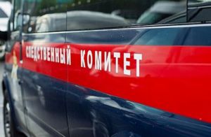 В Рязанской области нашли останки пропавшей в 2017 году пензячки?