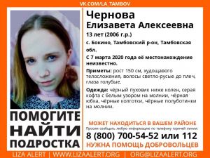 Пензенцы участвуют в резонансном поиске девочки в Тамбовской области