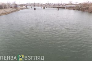 Стало известно, где нашли тело пропавшего пензенца