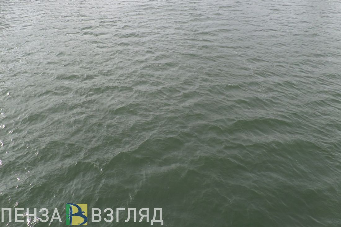 Тело пропавшего пензенца из реки доставали спасатели