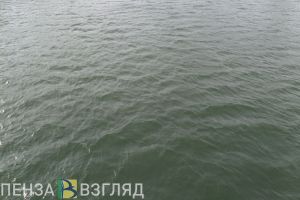 Тело пропавшего пензенца из реки доставали спасатели