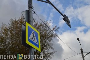 В Пензенской области оштрафуют пешеходов-нарушителей