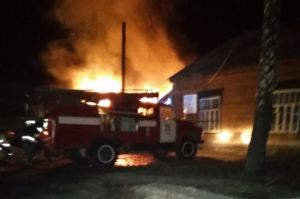 Восемь человек ночью тушили пожар в Пензенской области