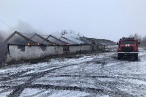 В Пензенской области сгорел кирпичный склад