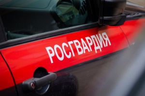 Возле Заречного на обочине нашли потерявшегося ребенка