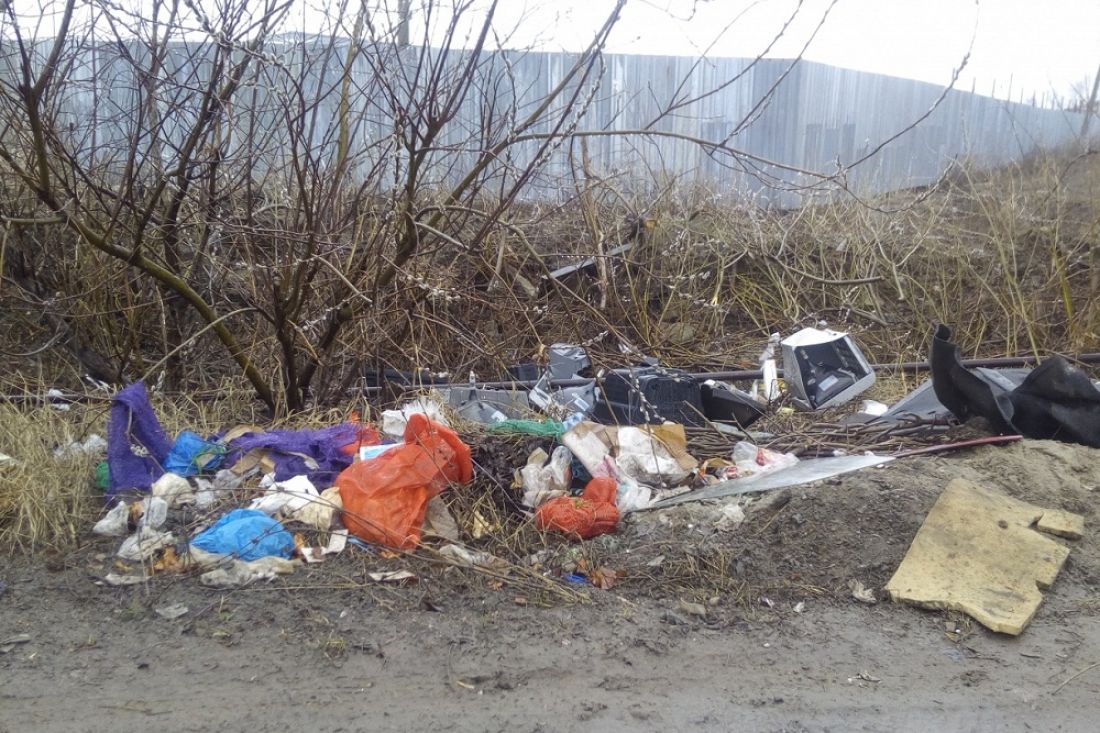 Свалка в Терновке неблагоприятно сказывается на экологии Пензы