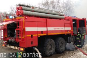 В МЧС прокомментировали обширный пожар под Пензой