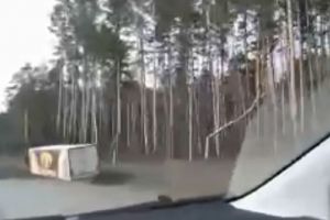На федеральной трассе под Пензой фура улетела в кювет. Видео