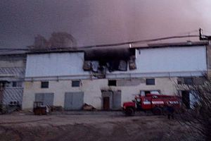 В Пензенской области загорелось производственное здание