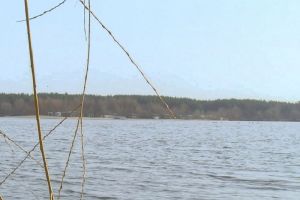 Необычное селфи едва не стоило жизни двум пензенским подросткам