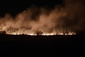 Под Кузнецком в Пензенской области произошел обширный пожар