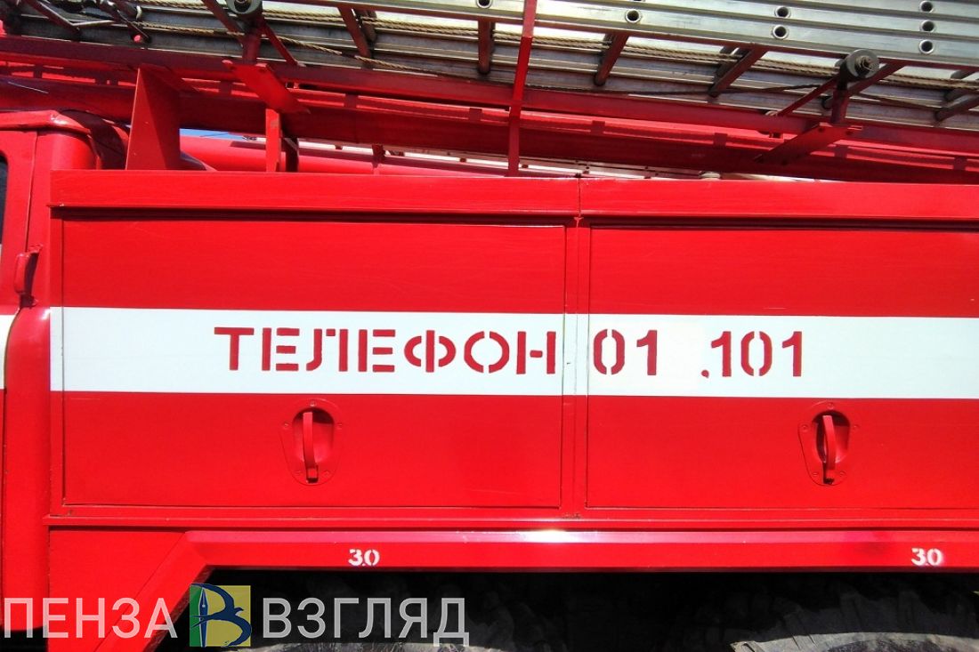 Пожарные тушили загоревшиеся мусор и траву в Пензе