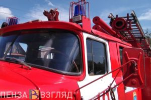 В селе Пензенской области сгорел срубовой дом