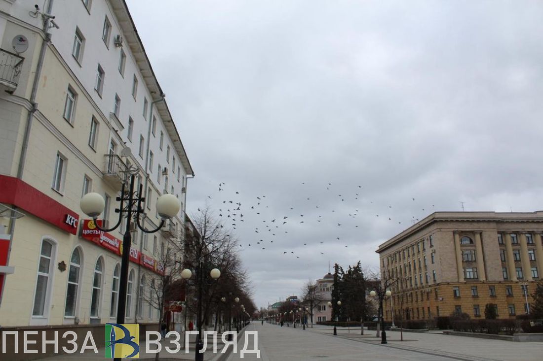 Пока все дома. В Пензе выросло значение «индекса самоизоляции»