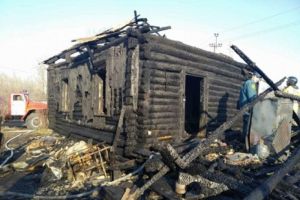Появились фото с места смертельного пожара в Лунинском районе