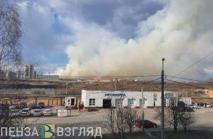 За выходные в Пензенской области пожарные ППСЦ семь раз выезжали на тушение травы
