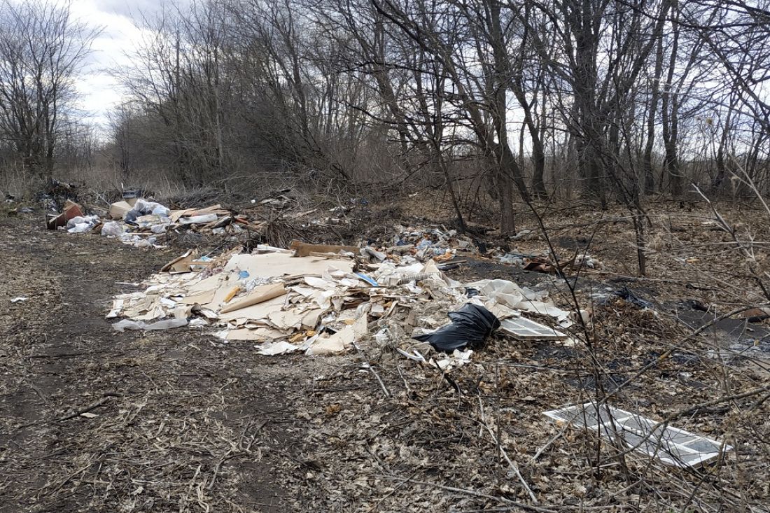 В Пензенской области выявили шесть незаконных свалок