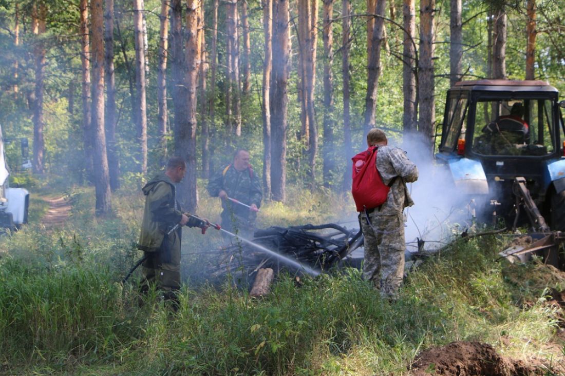 За сутки в Пензенской области пожары уничтожили более 4 гектаров леса