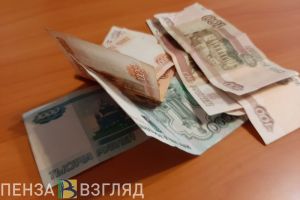 Молодой пензенец, рассчитывая на вознаграждение, лишился денег