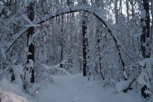 Стали известны подробности поиска погибшего пензенского туриста