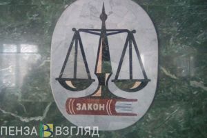 Житель Пензенской области осужден за попытку сбежать от полицейских