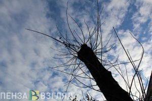 В пятницу в Пензенской области испортится погода