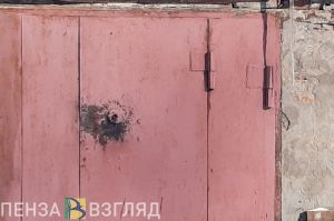 В Пензе «Lada Priora» улетела с дороги и врезалась в гараж