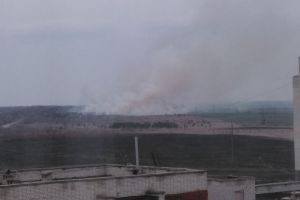 Огонь охватил пять гектаров сухостоя в Кузнецком районе