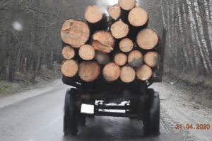 В Пензе с поличным поймали похитителя древесины