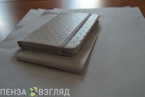 В Пензе будут искать варианты, как помочь нелегально работавшим гражданам