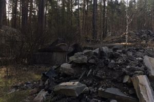 В Пензенской области выявлен факт загрязнения лесных участков строительными отходами