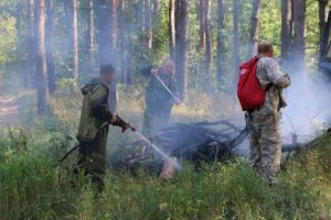 В Пензенской области огонь охватил более трех гектаров леса