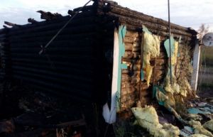 В селе Пензенской области при пожаре погибли мужчина и женщина