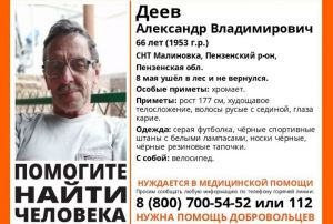 В дачном поселке под Пензой пенсионер ушел в лес и пропал