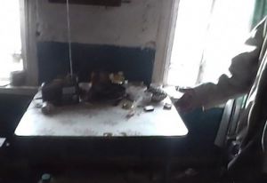 В Пензенской области хозяин дома после жарки грибов набросился на гостя с топором