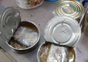 В Пензе в колонию пытались пронести законсервированные телефоны