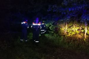 Пензенские спасатели нашли в лесу заблудившегося мужчину