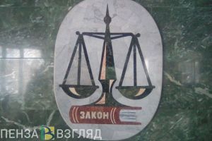 Житель Пензенской области за избиение полицейского может отправиться в колонию
