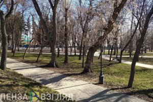 Заморозки, подготовка к купальному сезону и возможные сроки открытия детских лагерей - новости Пензы за 20 мая