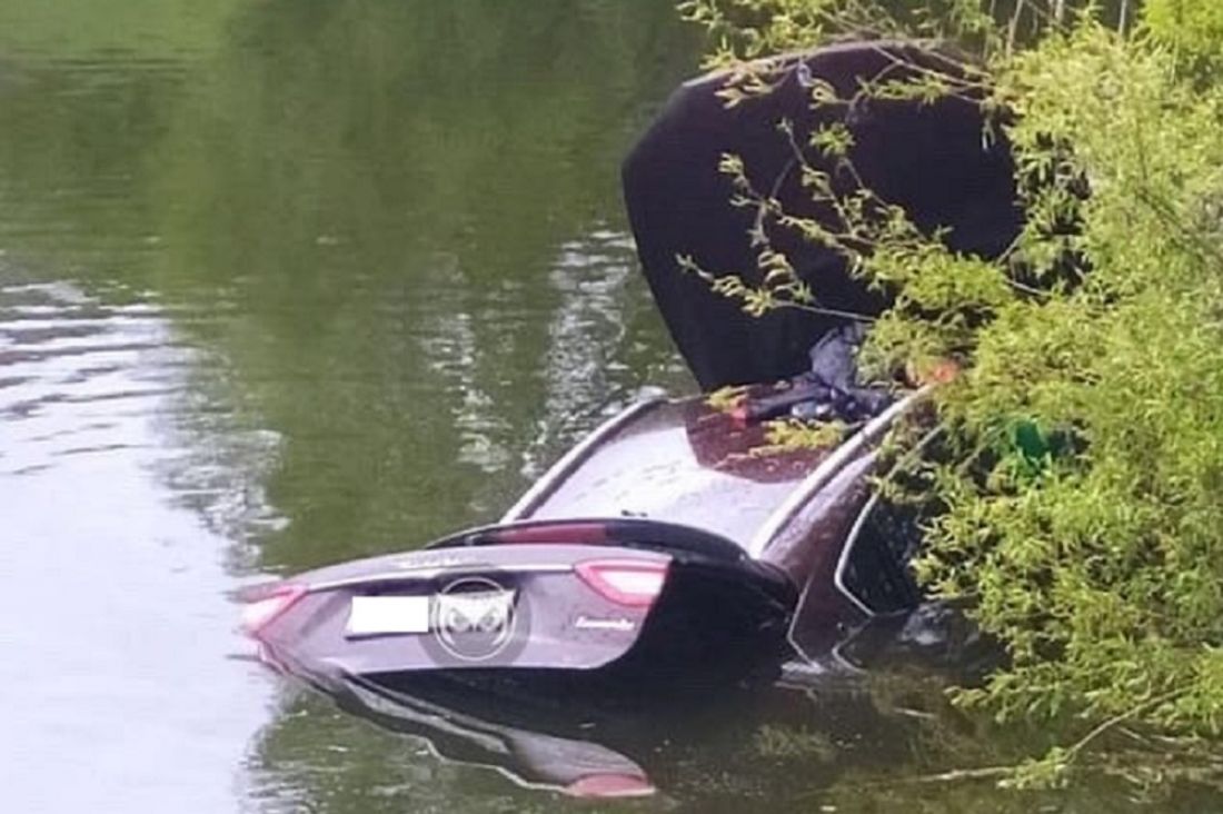 Под Пензой машина оказалась в водоеме из-за выбежавшей на дорогу собаки