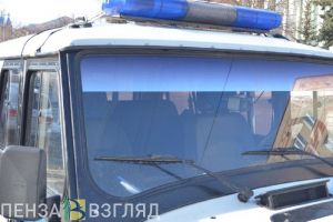 Задержан подозреваемый в убийстве пензенской школьницы