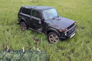 На трассе «Тамбов-Пенза» «Нива» вылетела в кювет и опрокинулась