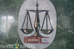 Житель Пензенской области избил женщину и попал под суд