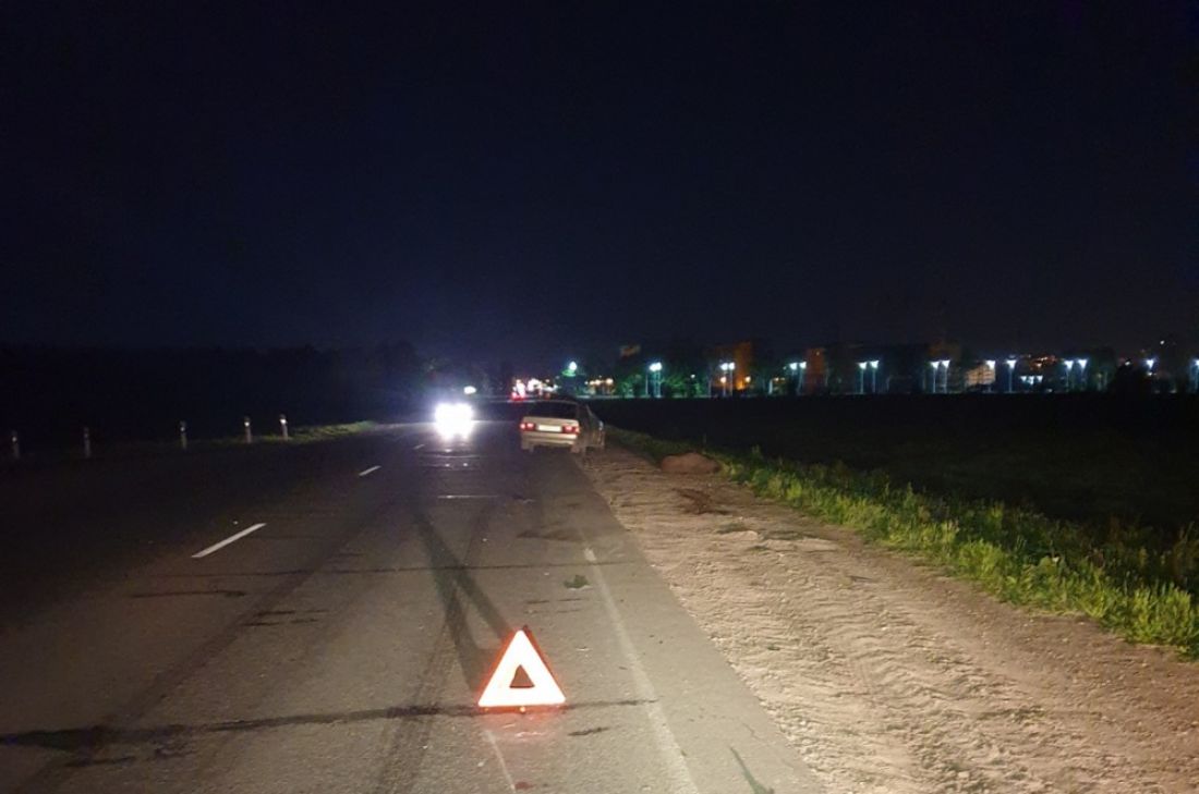 В Пензенской области за сутки насмерть сбили двух лосей